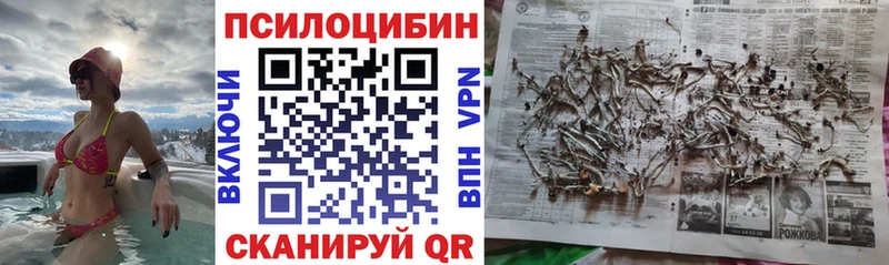 площадка формула  Славгород  Псилоцибиновые грибы мухоморы  наркошоп 