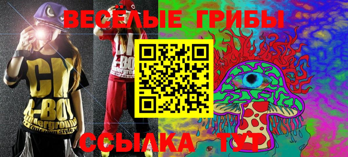 Славгород  Галлюциногенные грибы прущие грибы  Галлюциногенные грибы Magic Shrooms  Вход с VPN 